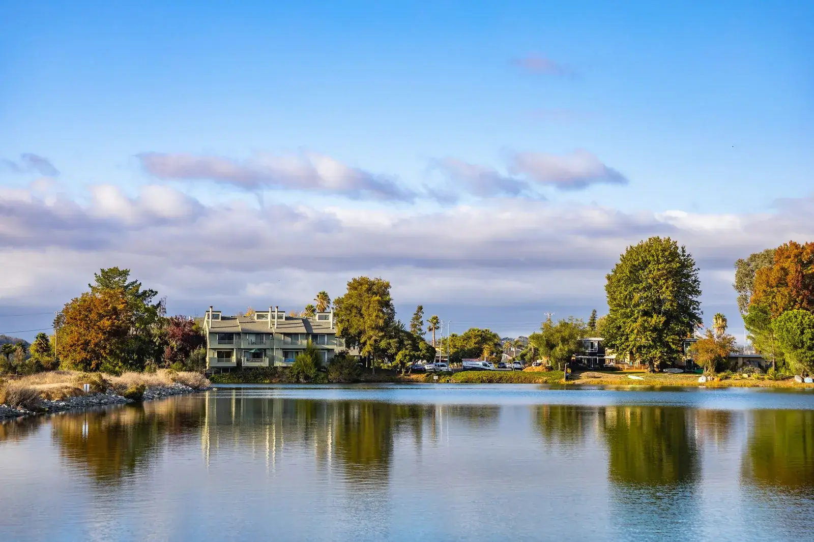 Suburban homes beside a tree-lined lake