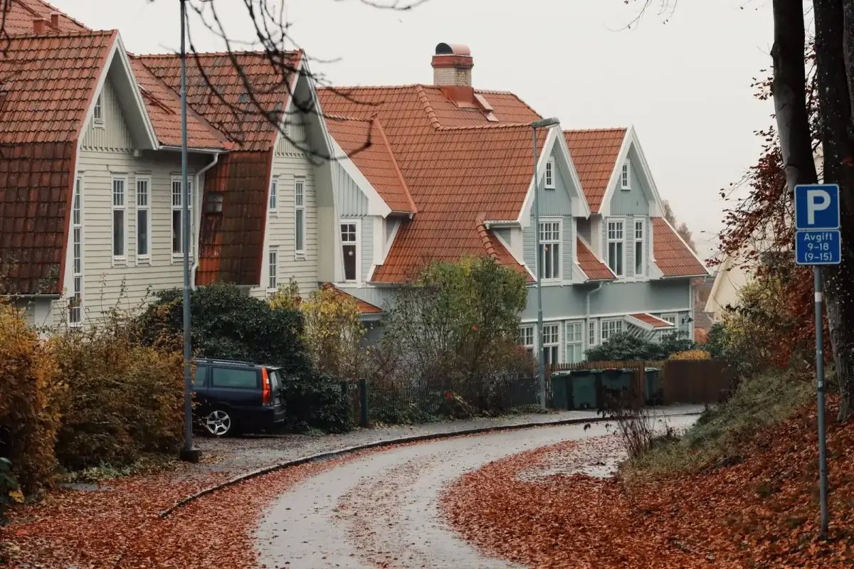 Suburban houses along a county road
