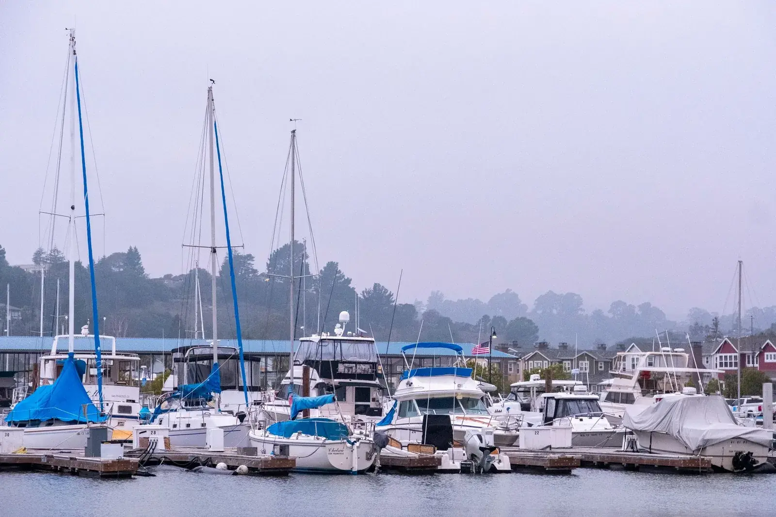 Marina with docked boats and houses beyond