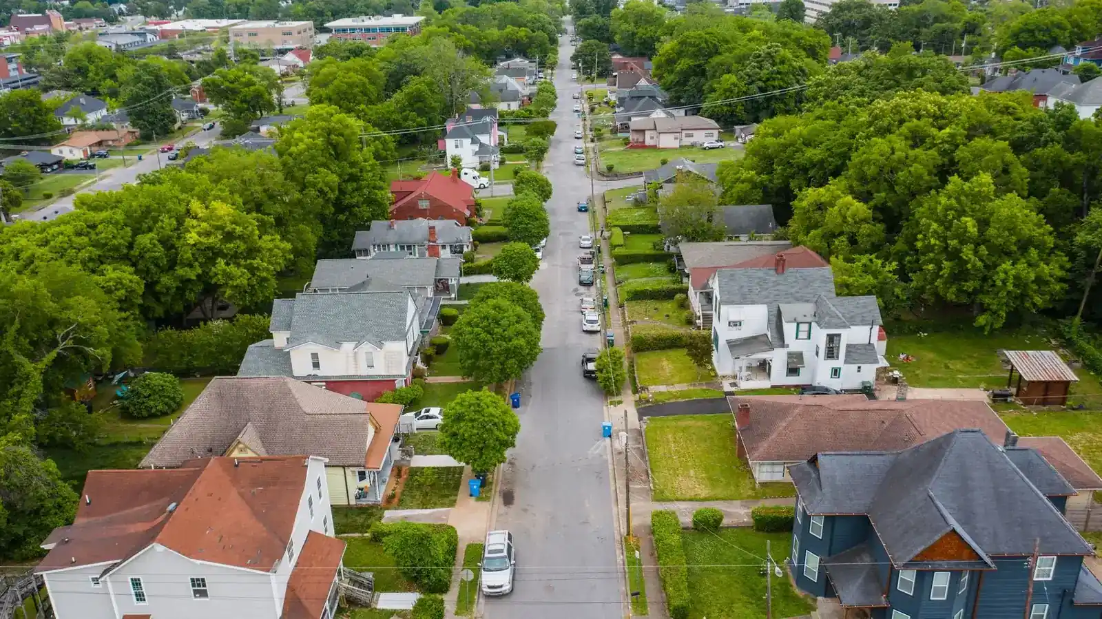 Tree-lined residential street of cape houses